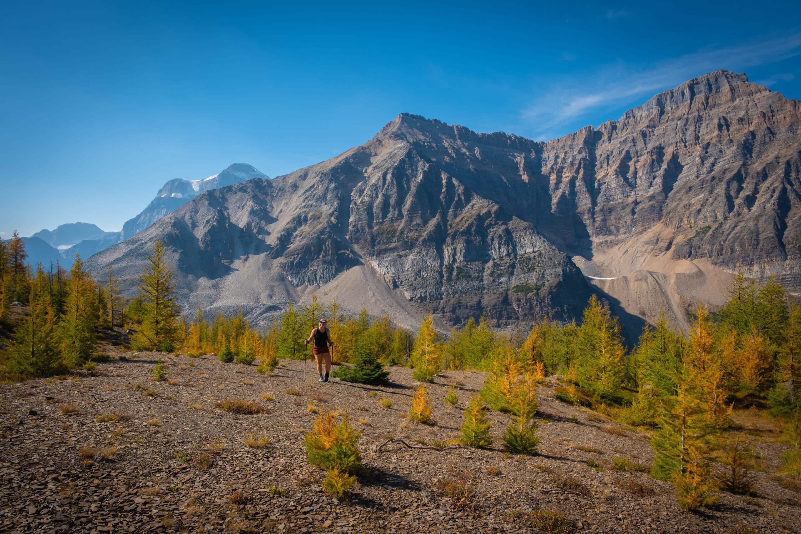 Gibbon Pass, which you can keep hiking to from Arnica Lake